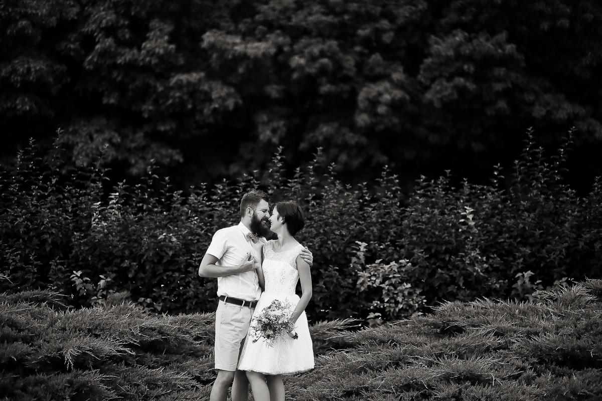 Алекс и Екатерина. Эмиль Докторян — Свадебный и семейный фотограф в Краснодаре