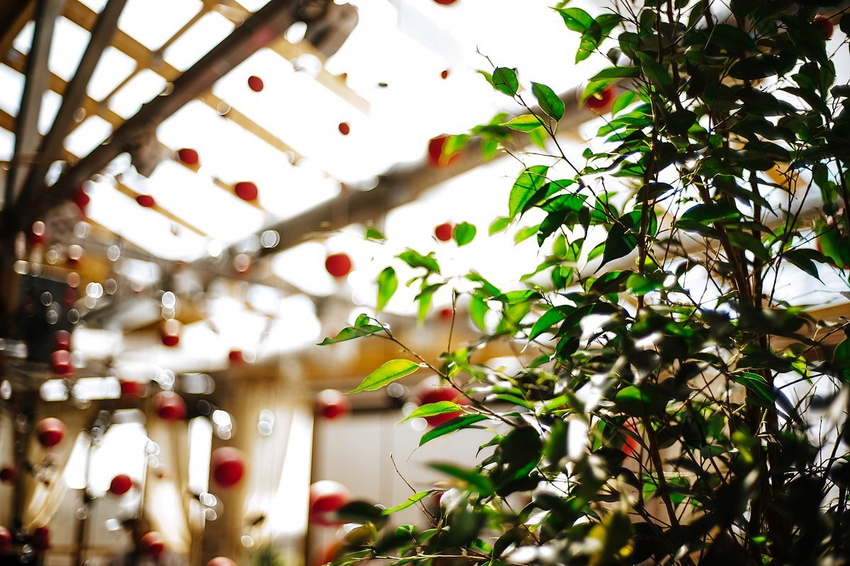 #wedding D&K. Эмиль Докторян — Свадебный и семейный фотограф в Краснодаре