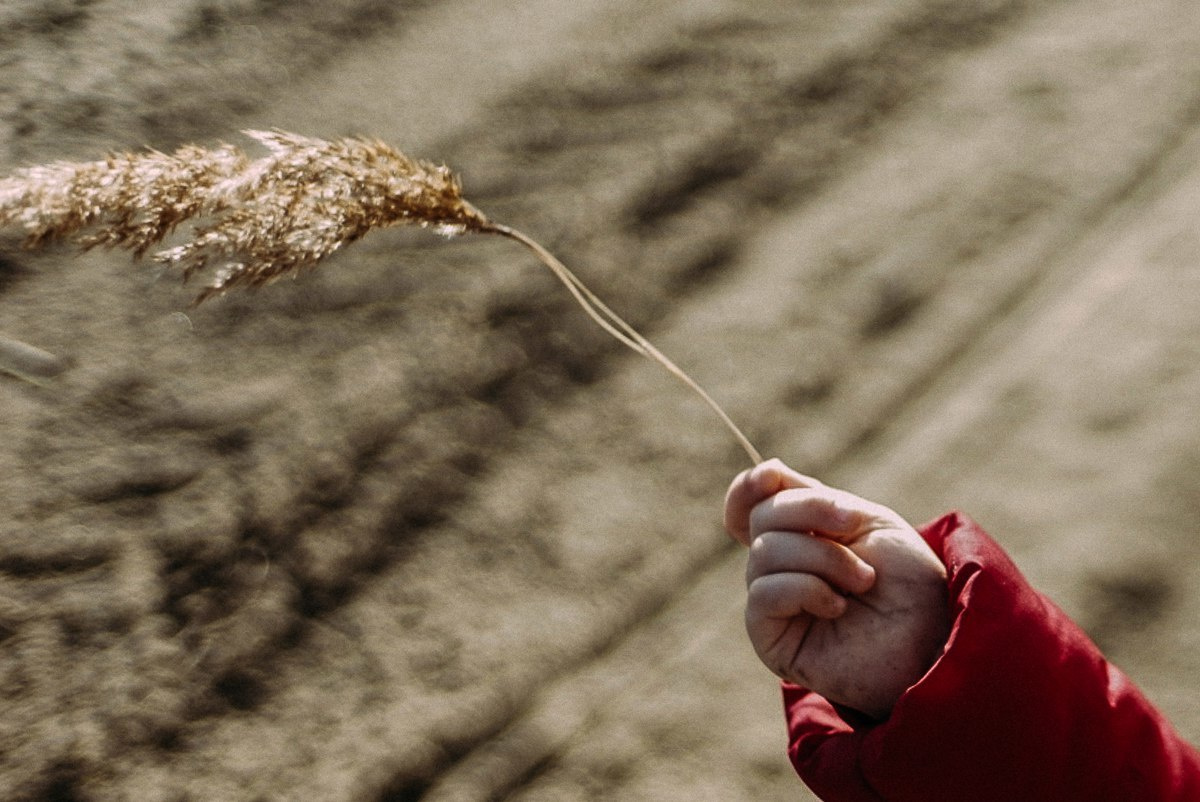#_Арина. Эмиль Докторян — Свадебный и семейный фотограф в Краснодаре