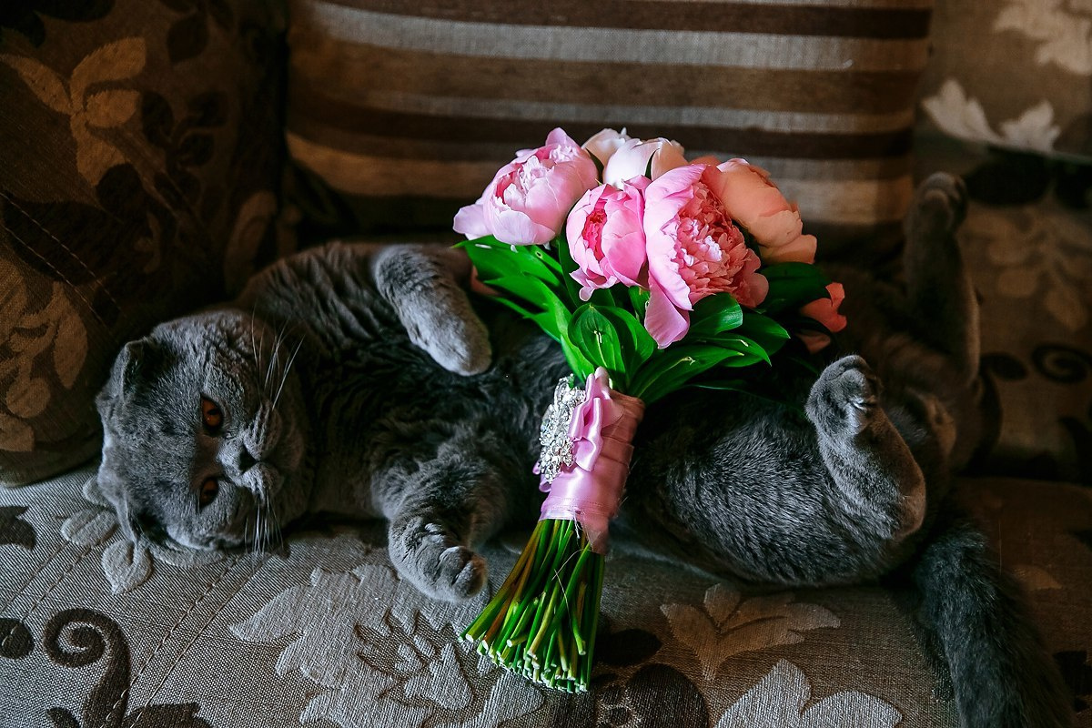 #wedding D&K. Эмиль Докторян — Свадебный и семейный фотограф в Краснодаре