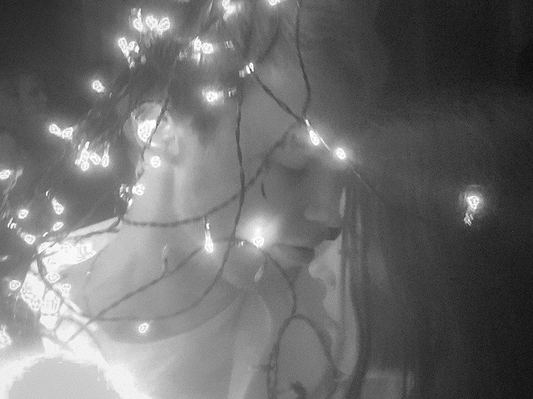 #MyWedParty 2015. Эмиль Докторян — Свадебный и семейный фотограф в Краснодаре