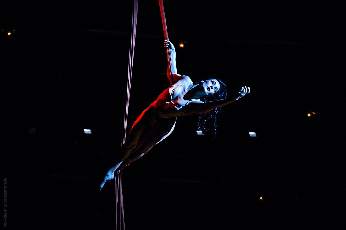 ЦИРК. Фотограф и видеограф для бизнеса в Москве — фуд, рестораны, интерьер, контент | Sizov Studio