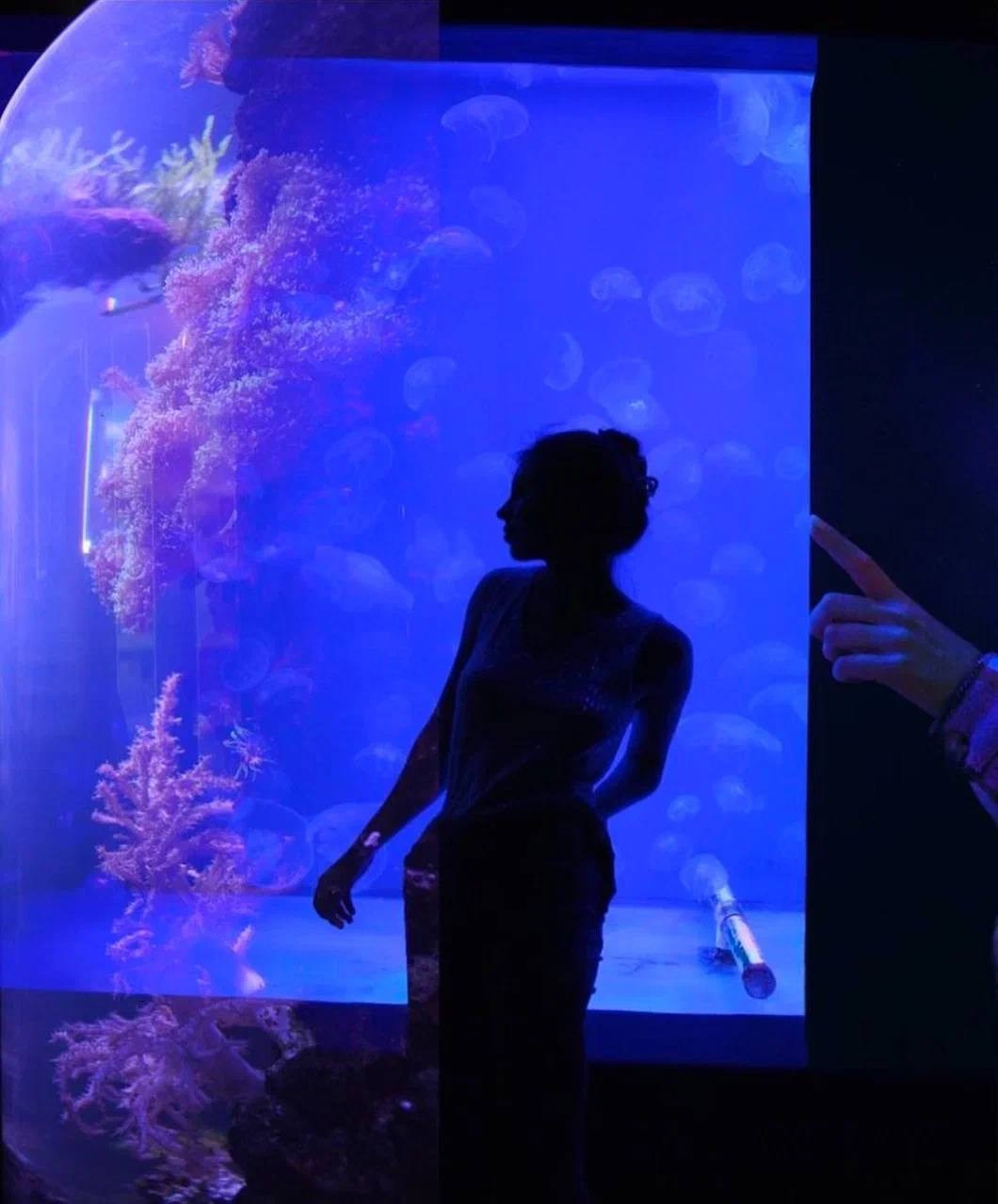 Океонариум. Костюмер, художник кино и телевидения в спб