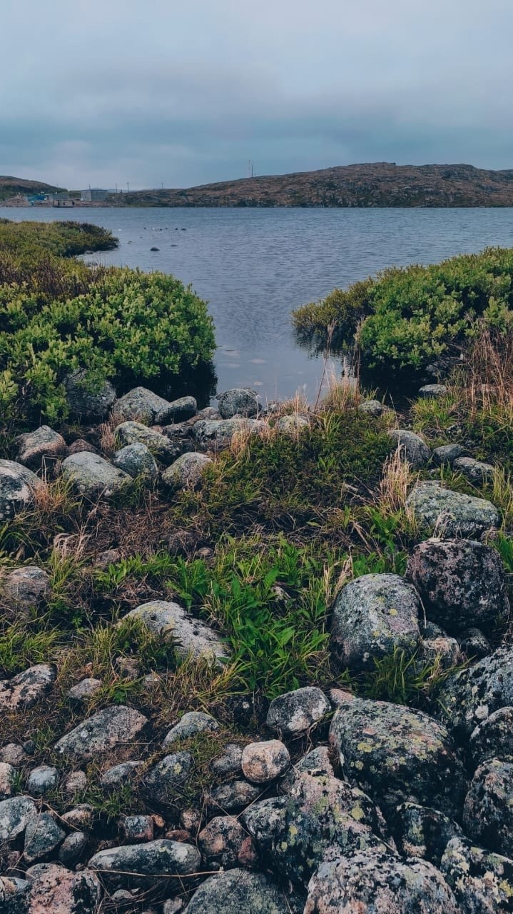 Мурманск | 20-22.06.2025. Галерея Фантим