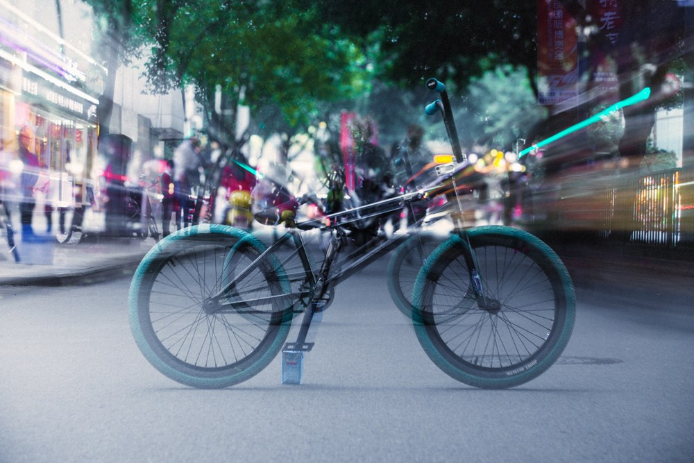 Lifestyle. Bivol images