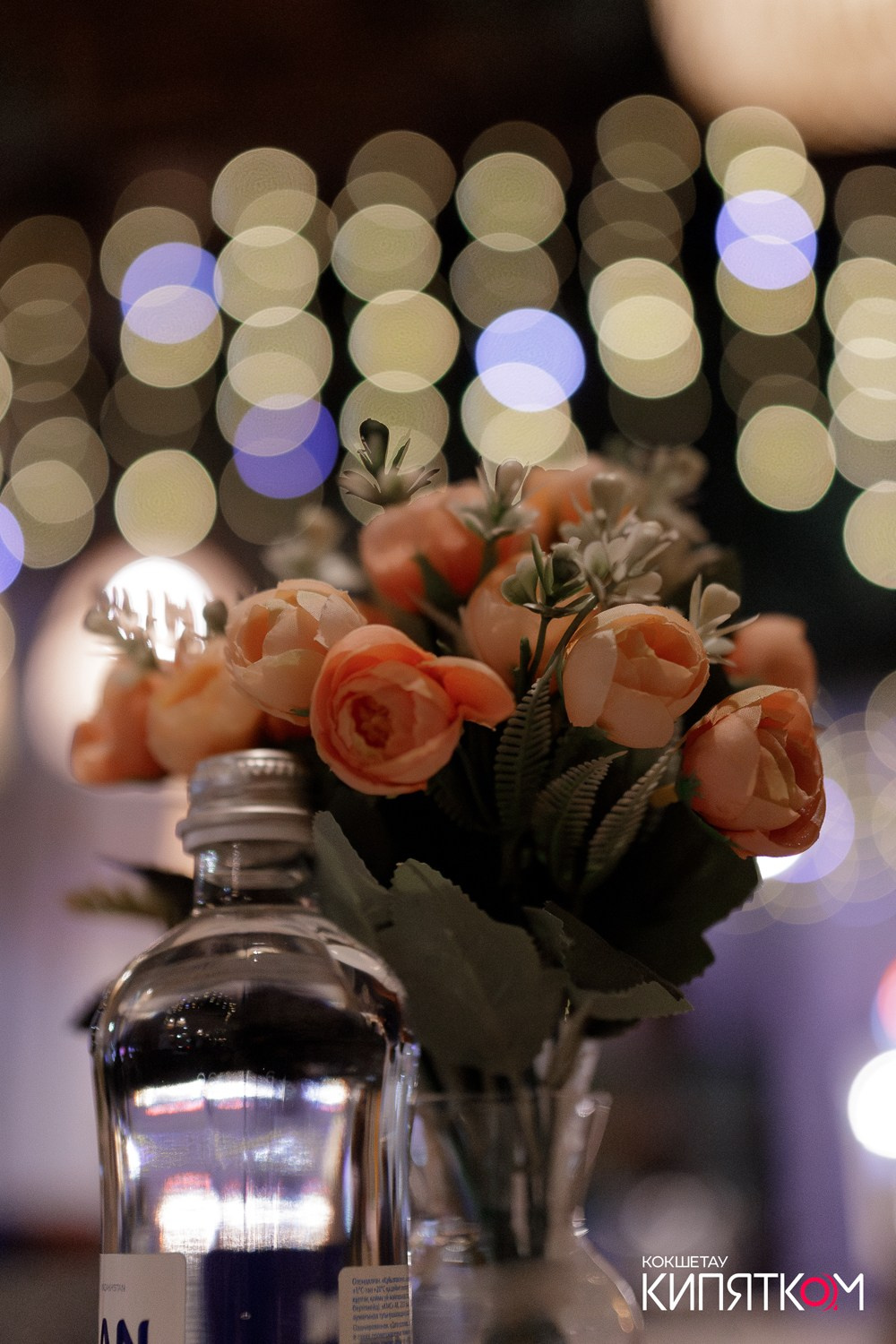 ТБИЛИСИ. КИПЯТКОМ КОКШЕТАУ