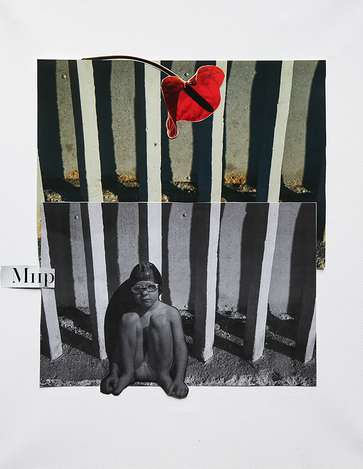 Елена Альтшуль