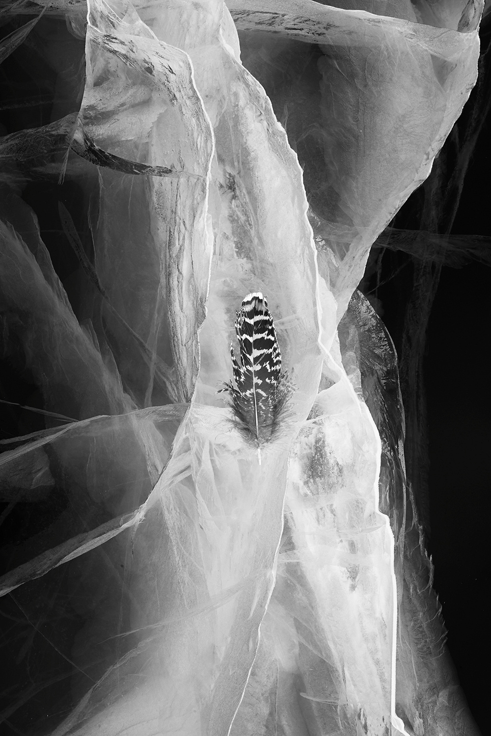 Мария Дюповкина