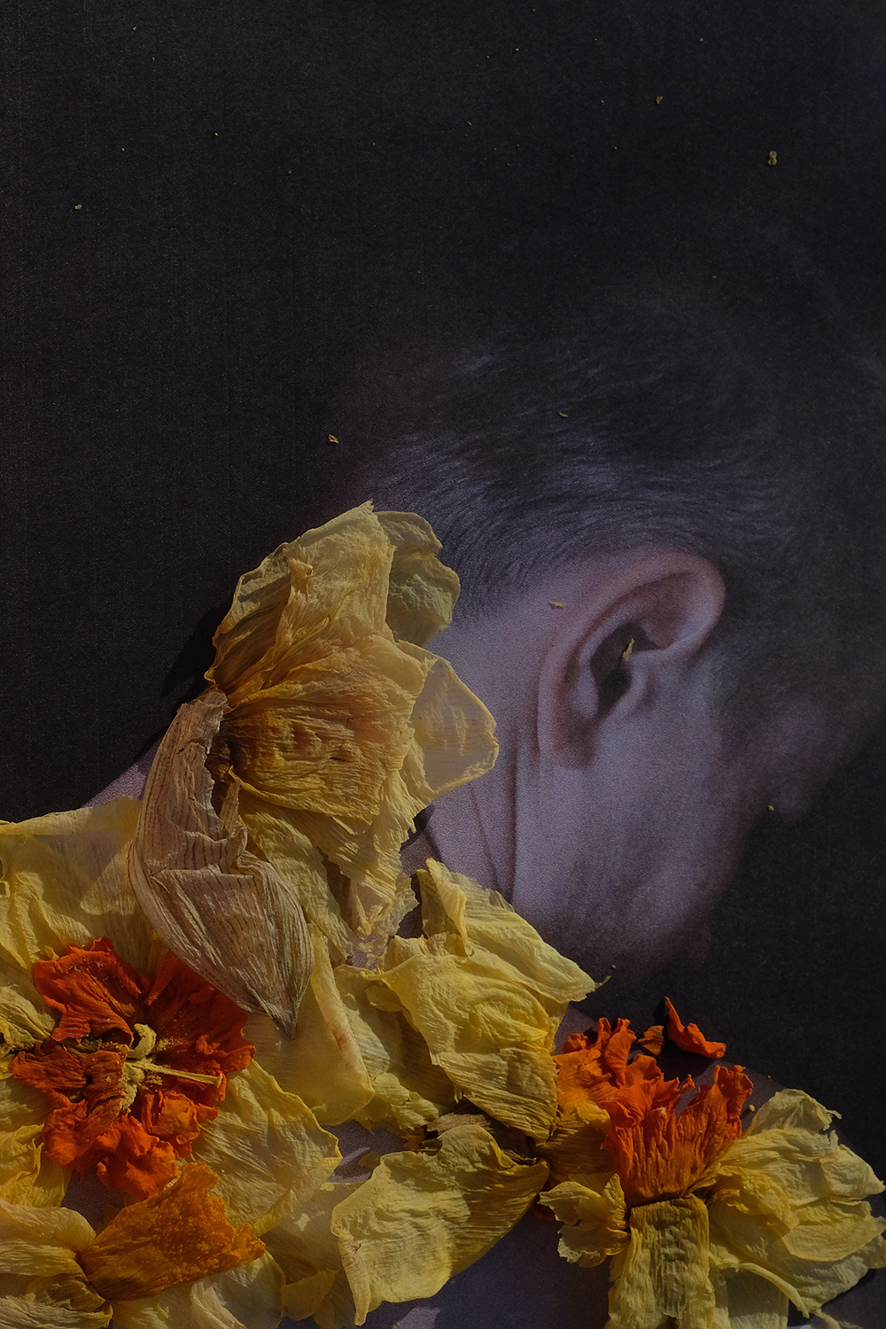 Наталья Тихомирова