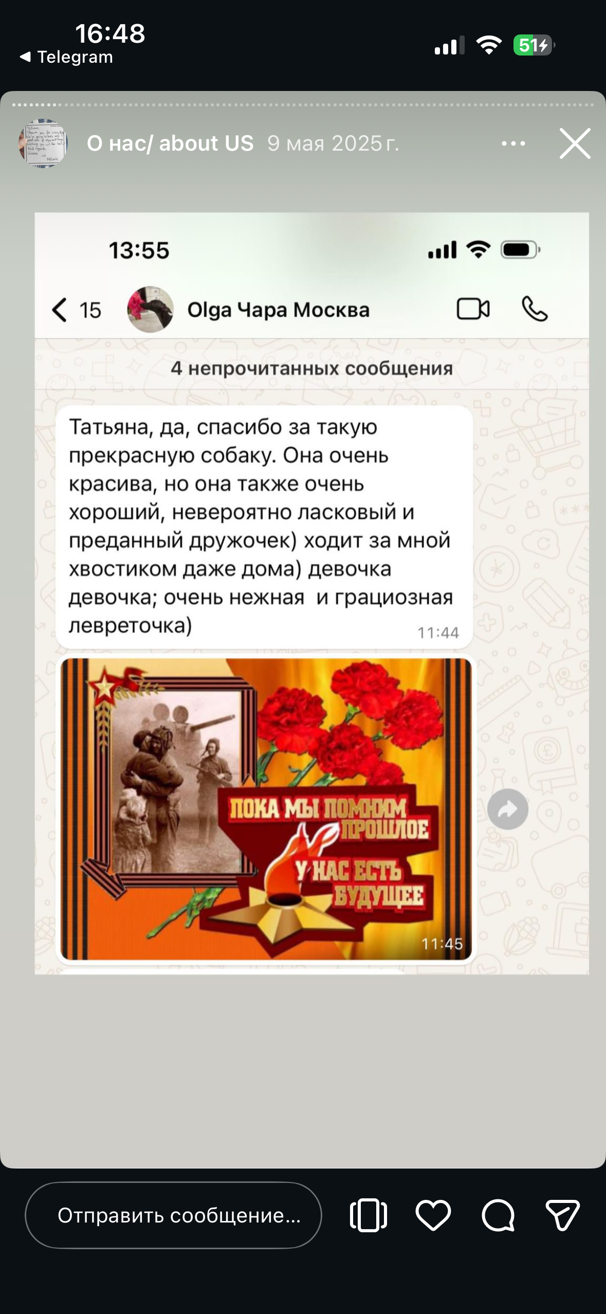 Отзывы от наших любимых владельцев. Профессиональный питомник левреток РКФ/FCI ASTI SAPPHIRE 💎 Сочи|Санкт-Петербург