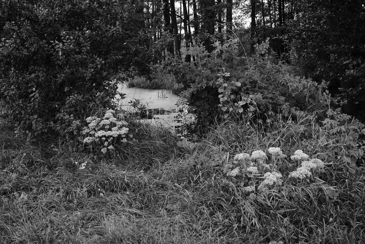 Sedimentation. Пылина Ирина — современная фотография