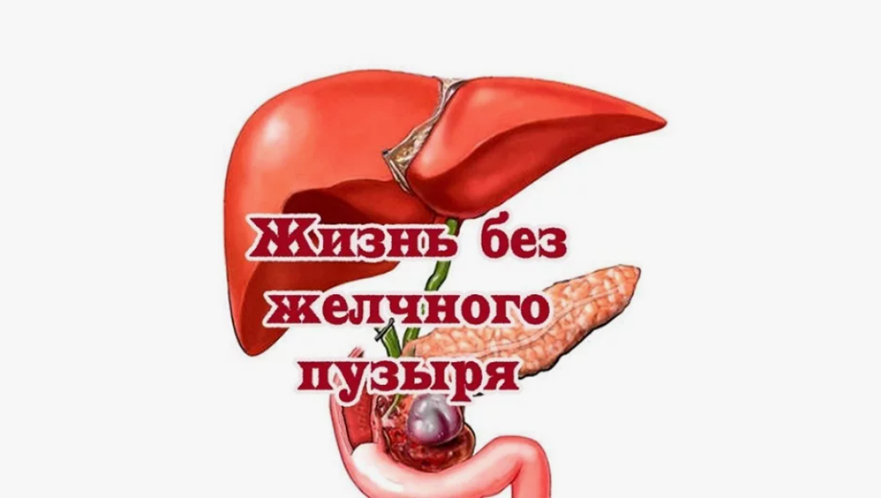 Готовые курсы приема продукции компании Сово-Сова. Сово-Сово — Омоложение и оздоровление!