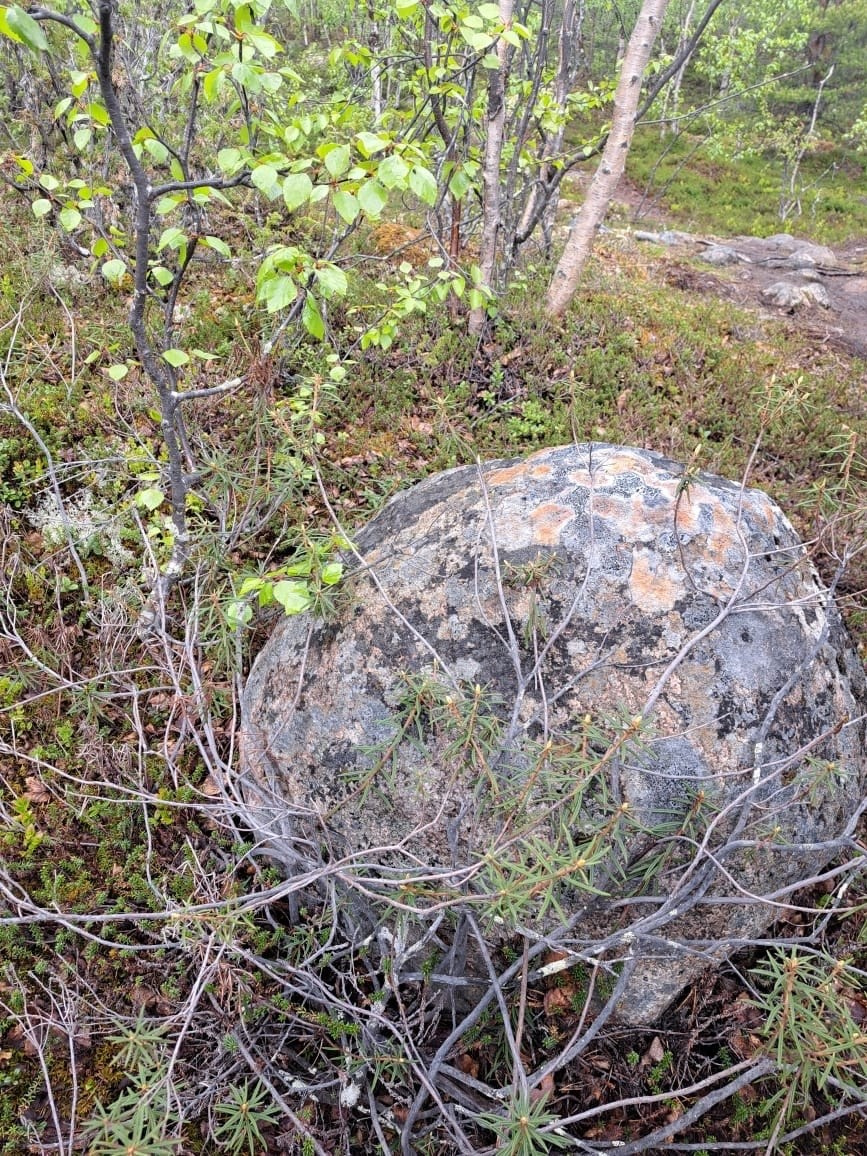 Мурманск | 20-22.06.2025. Галерея Фантим