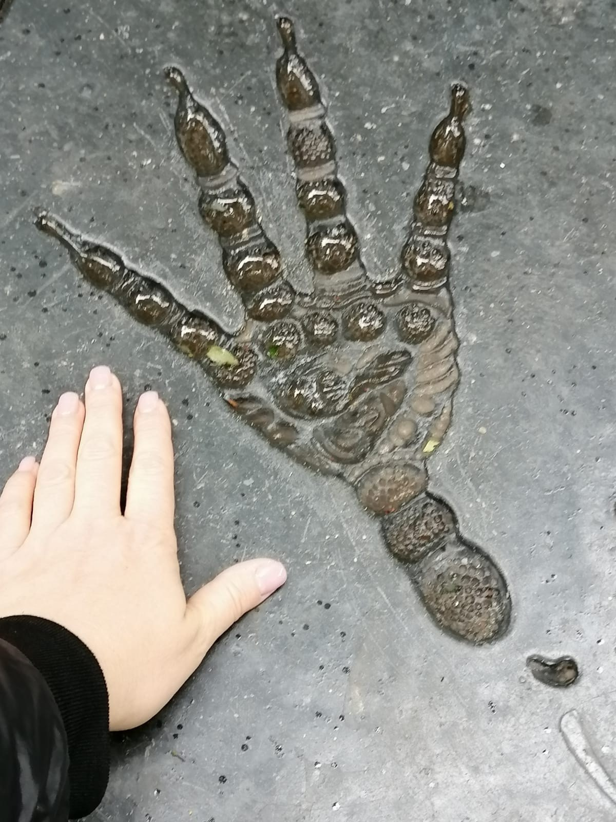 Калининград | 05-08.10.2023. Галерея Фантим