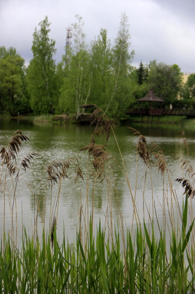 День рождения Фантима. 7 лет! | 21-22.05.2016. Галерея Фантим