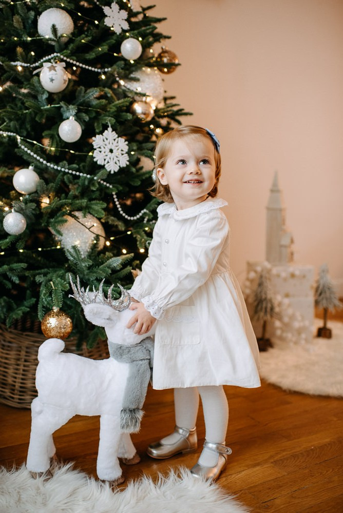 Новогодняя фотосессия. Фотосессия в студии в Москве от профессионального фотографа услуги по доступным ценам