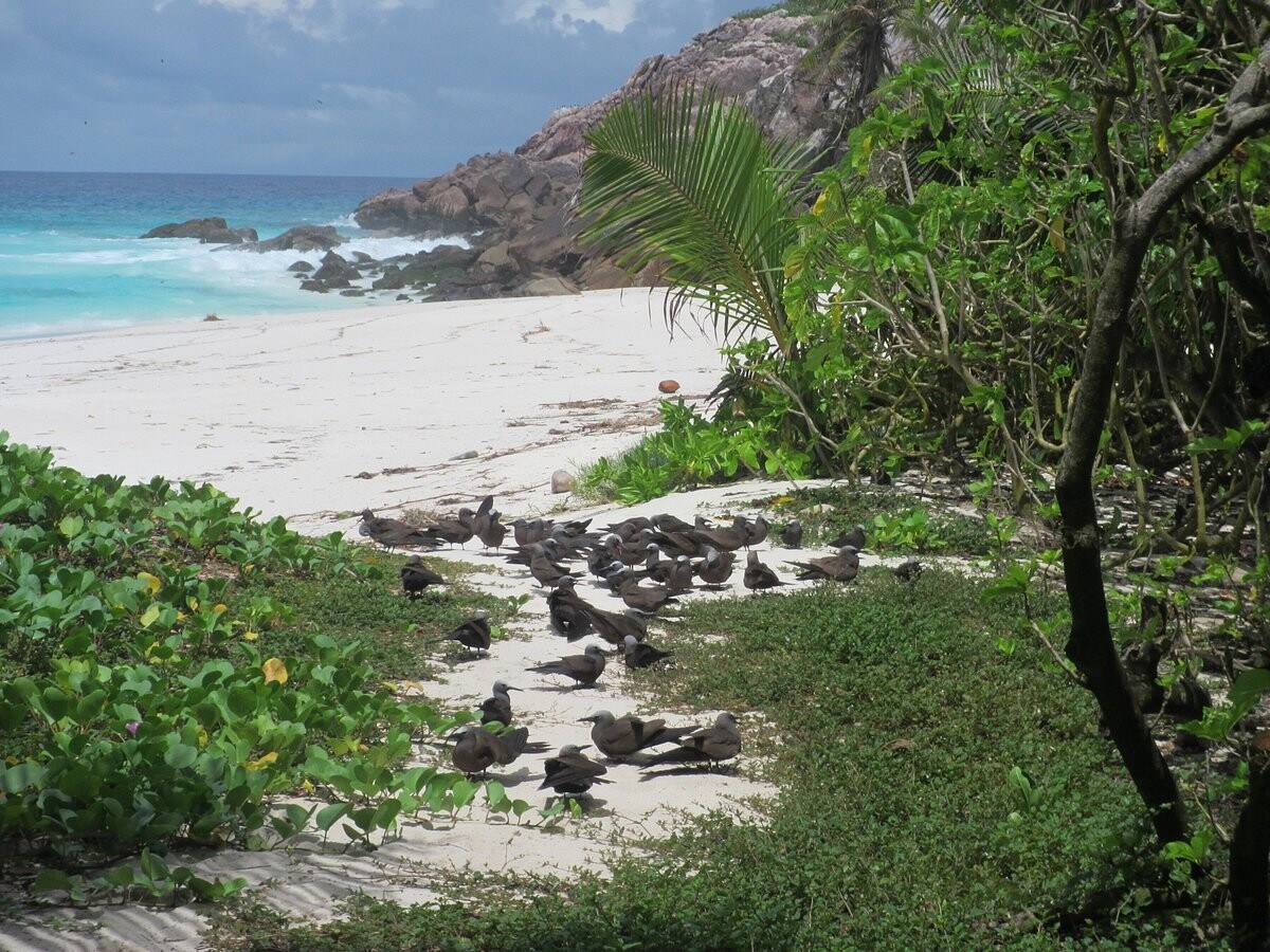Фото яхт-тур по Сейшельским островам. Yacht tour of Seychelles. Туры. Фотоальбомы на заказ