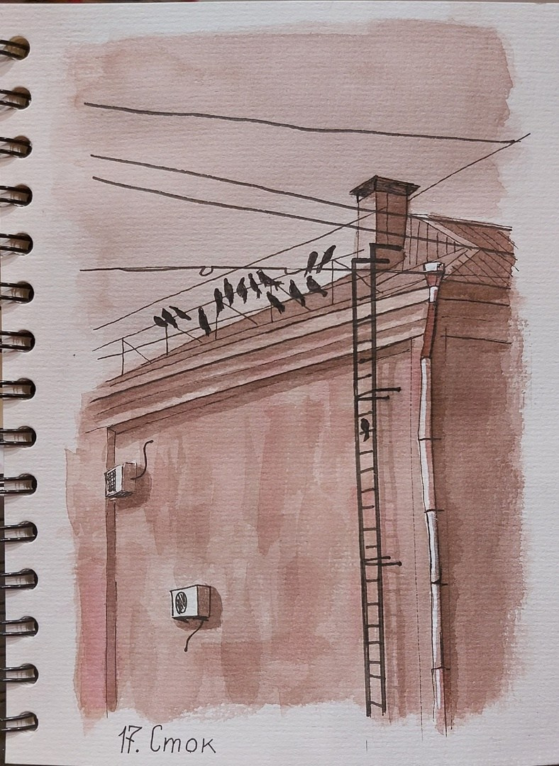 Графика. Фотограф Юлия Зимина