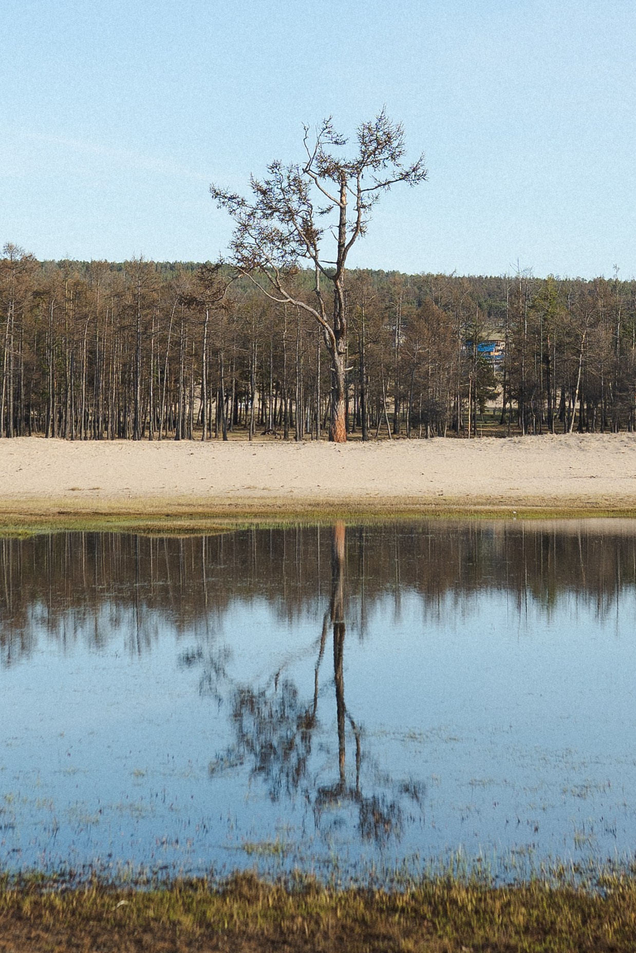 Фотографии. Фотограф Иркутск