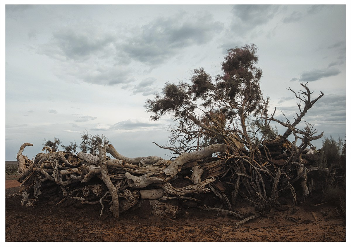 Природа и пейзажи / Nature and landscapes. Visual artist Olga Burmistrova