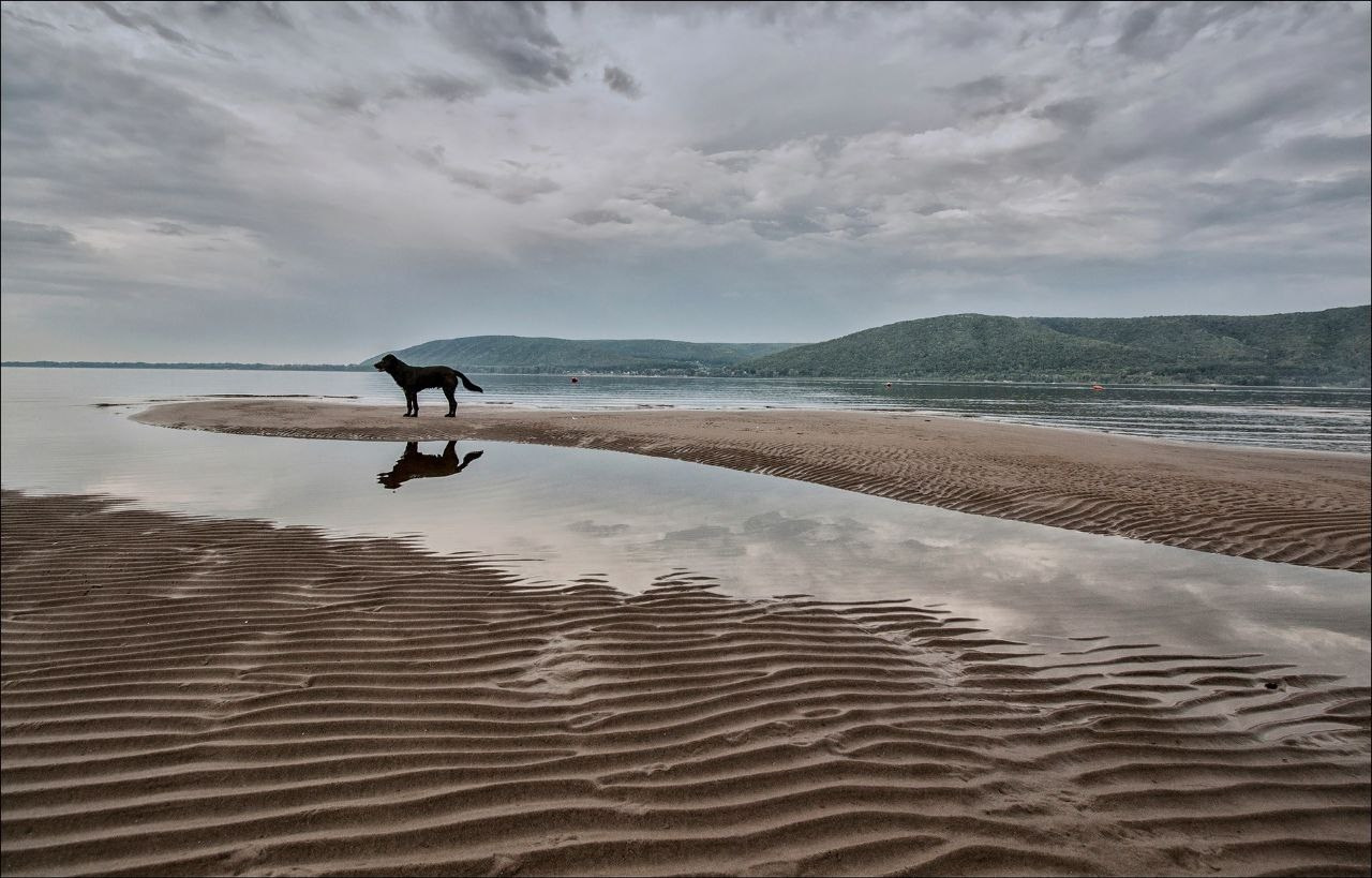 Демидова Елена. Фотообъединение Самарского областного отделения Союза журналистов России