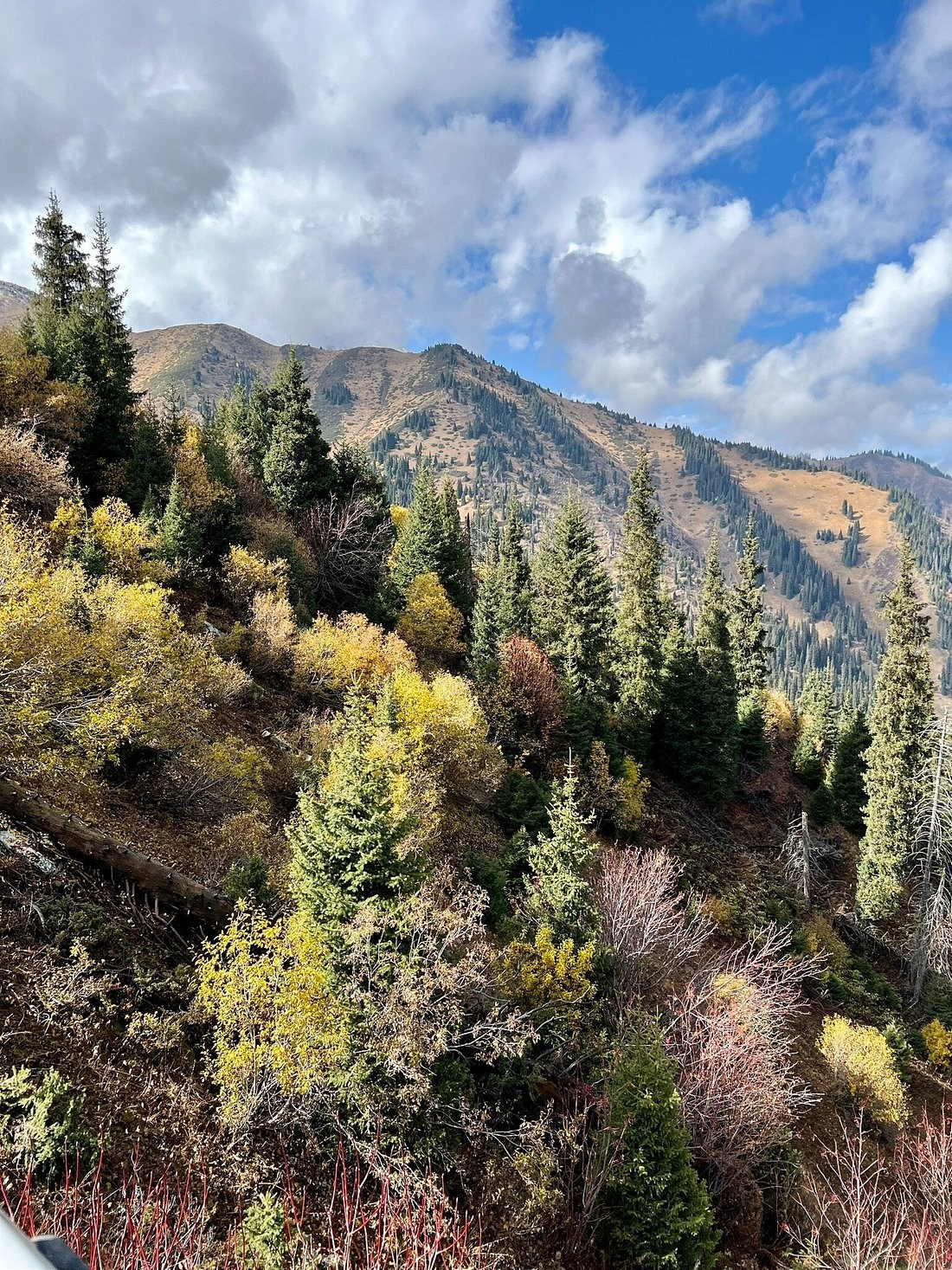 Курорт Шымбулак (Чимбулак) в Алматы — отдых круглый год