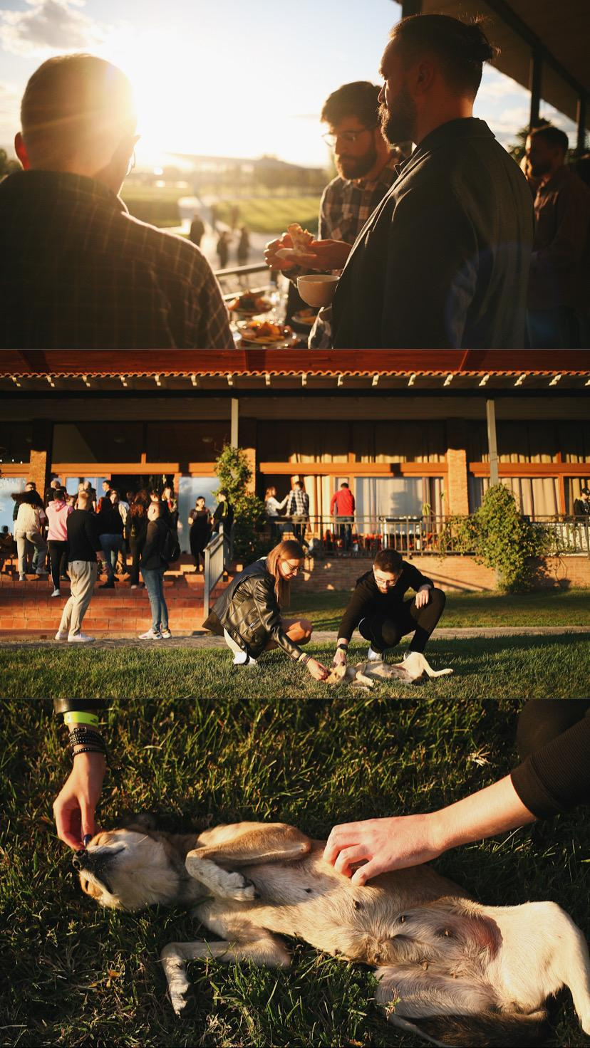 Общий альбом. Фотограф Екатерина Максимова: семейные, индивидуальные съемки, свадьбы