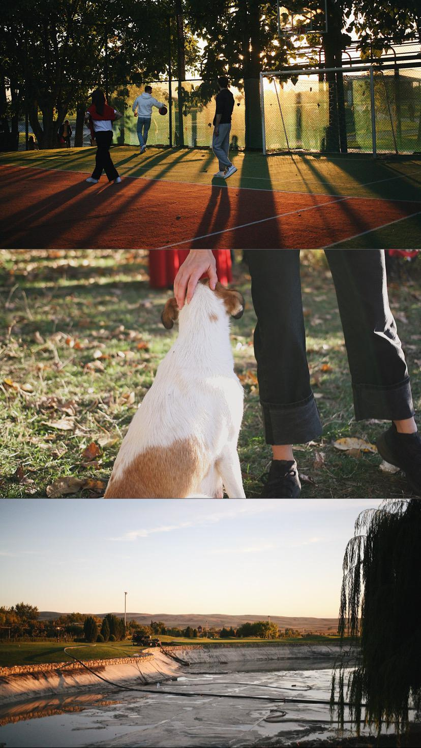 Общий альбом. Фотограф Екатерина Максимова: семейные, индивидуальные съемки, свадьбы