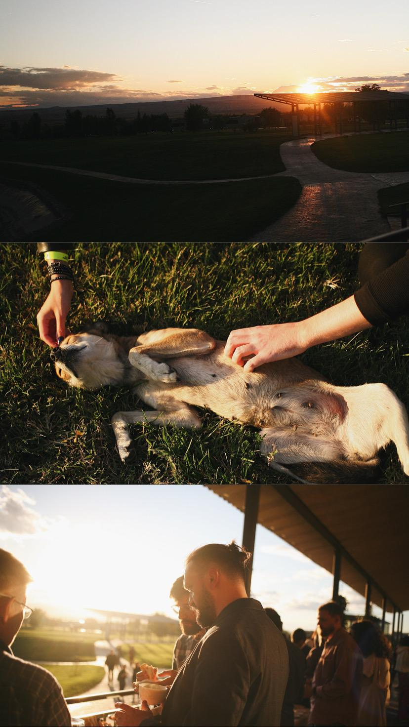 Общий альбом. Фотограф Екатерина Максимова: семейные, индивидуальные съемки, свадьбы