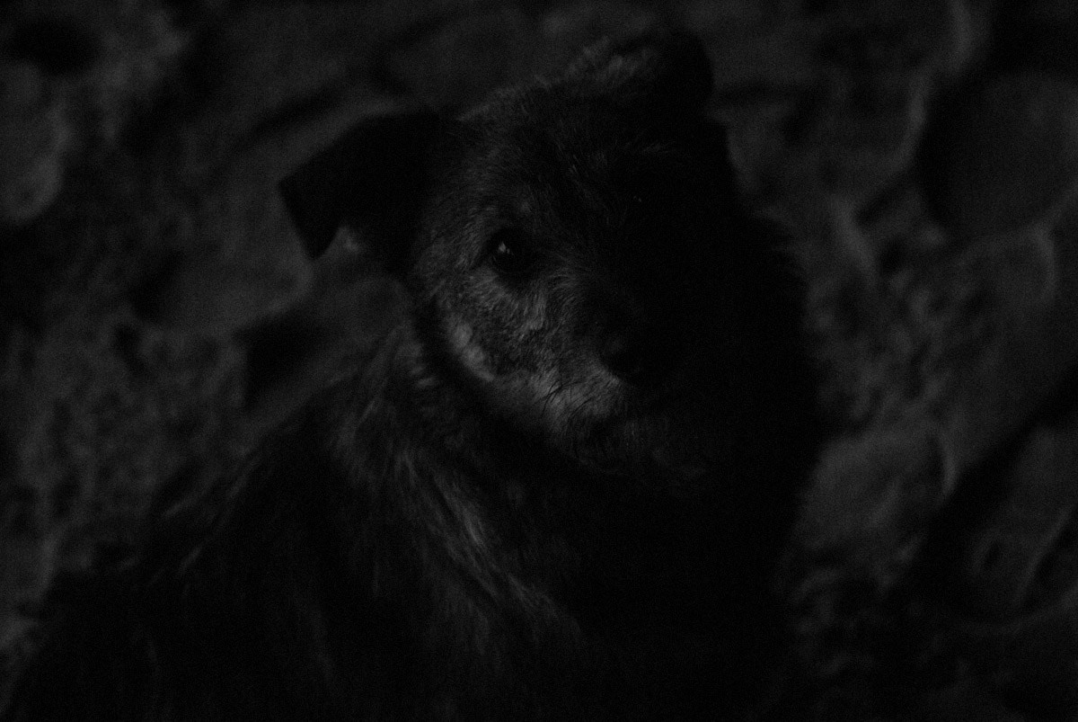 29/01/2009 On the Beach. Mike Baranovsky