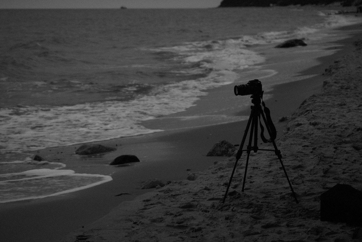 29/01/2009 On the Beach. Mike Baranovsky