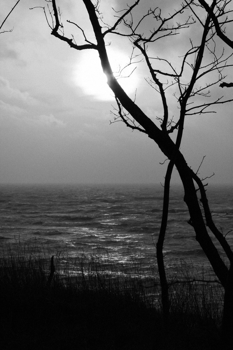 QQ/01/2009 Jan. is Never Over. Mike Baranovsky