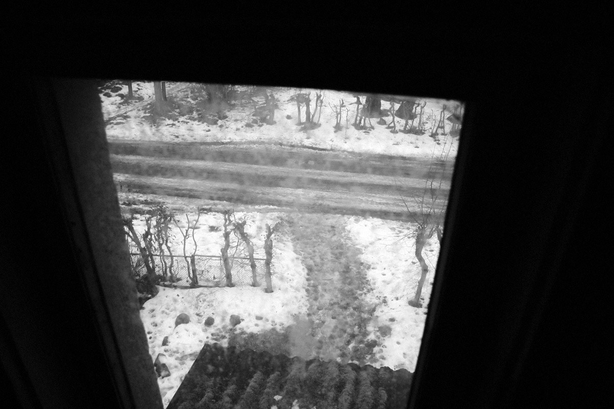 QQ/01/2009 Jan. is Never Over. Mike Baranovsky