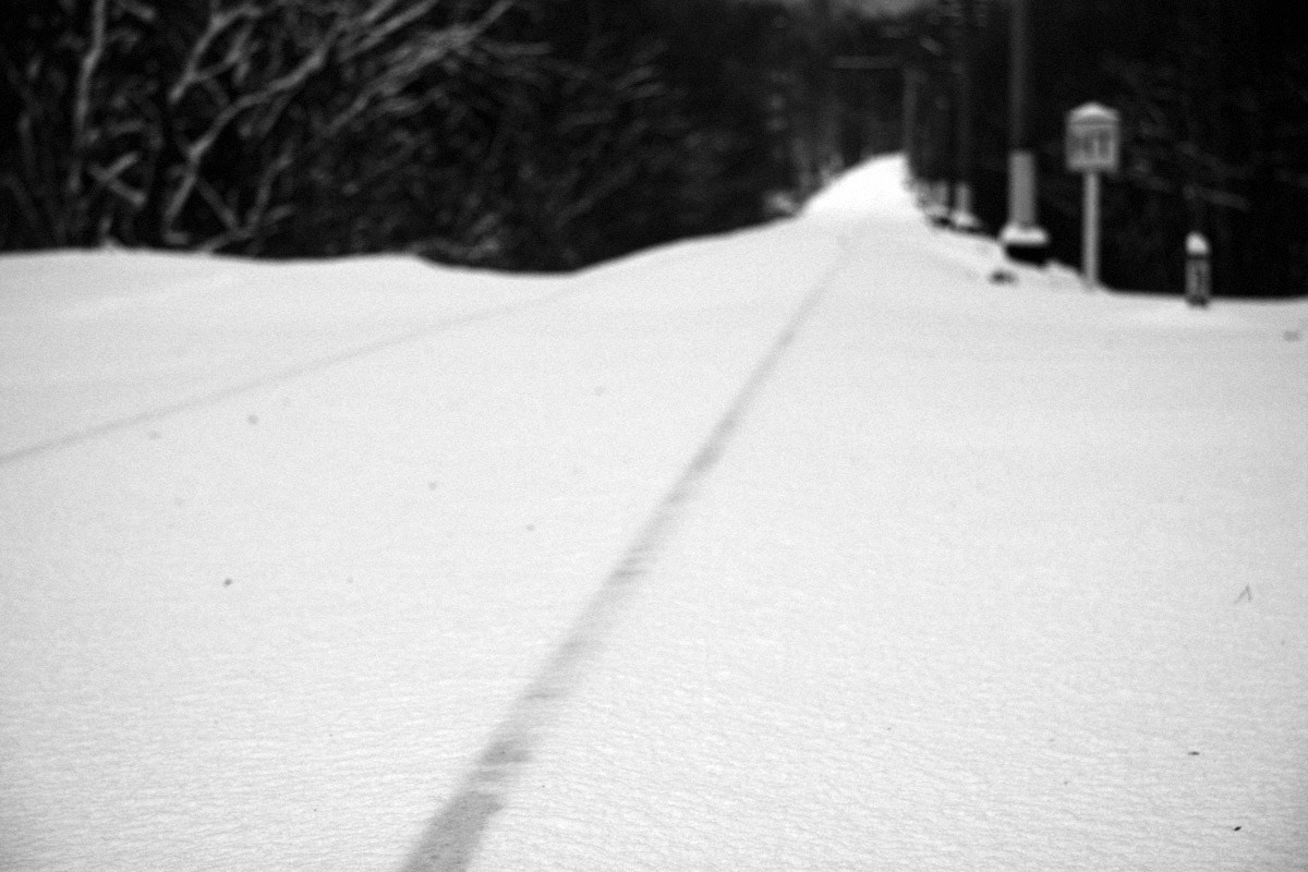 QQ/01/2009 Jan. is Never Over. Mike Baranovsky