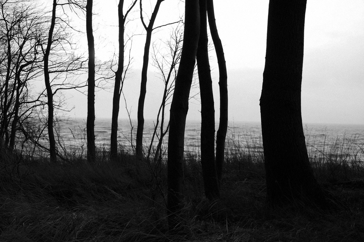 QQ/01/2009 Jan. is Never Over. Mike Baranovsky