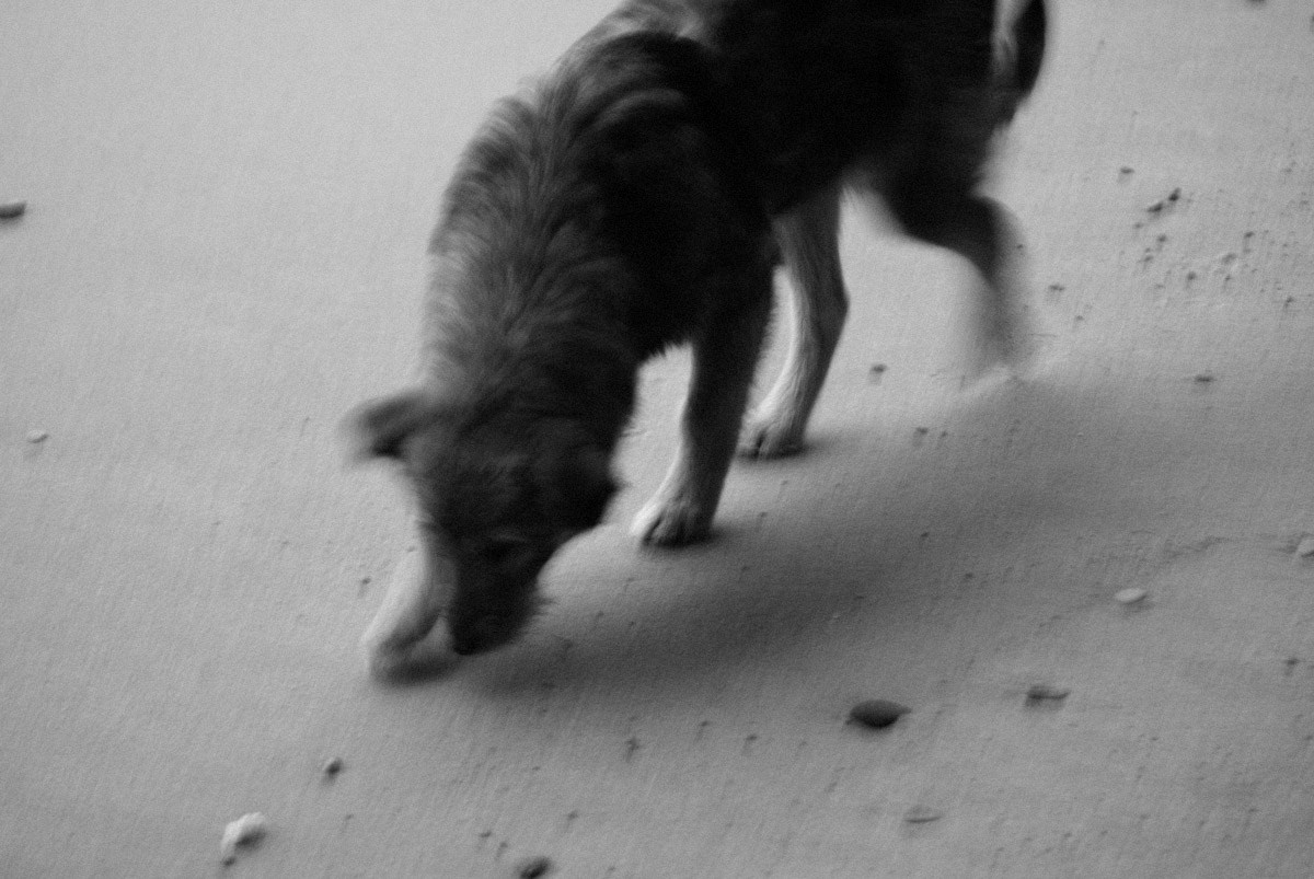 29/01/2009 On the Beach. Mike Baranovsky