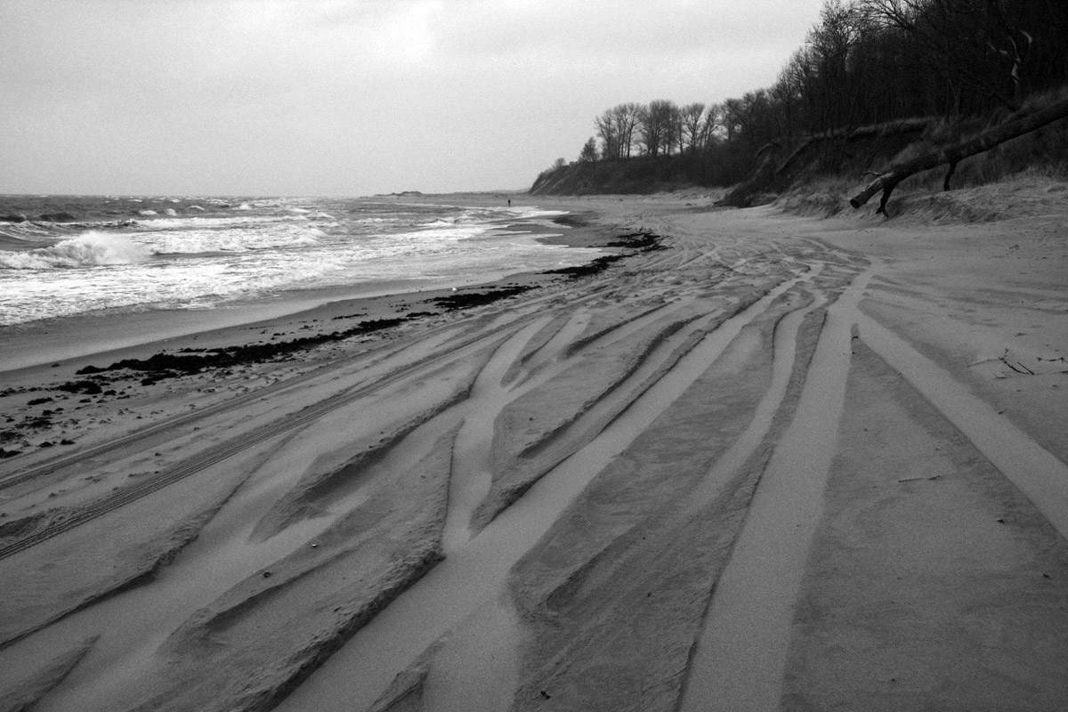 QQ/01/2009 Jan. is Never Over. Mike Baranovsky