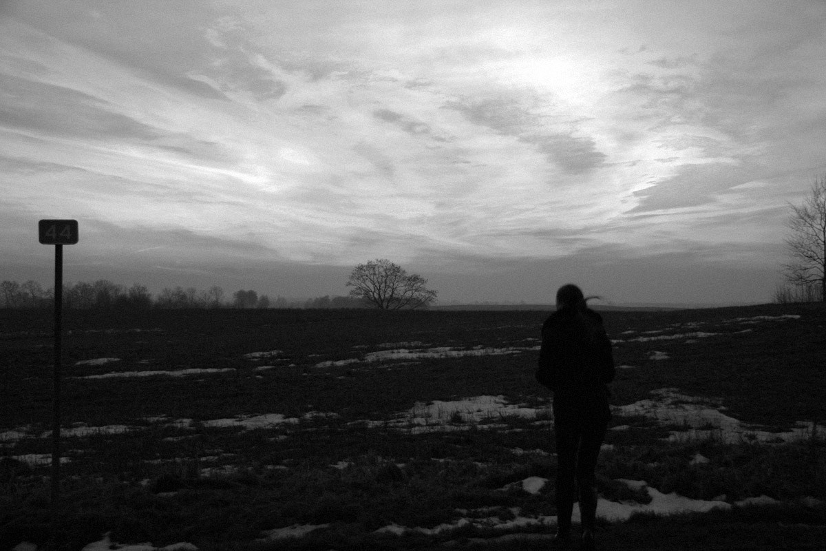 QQ/01/2009 Jan. is Never Over. Mike Baranovsky