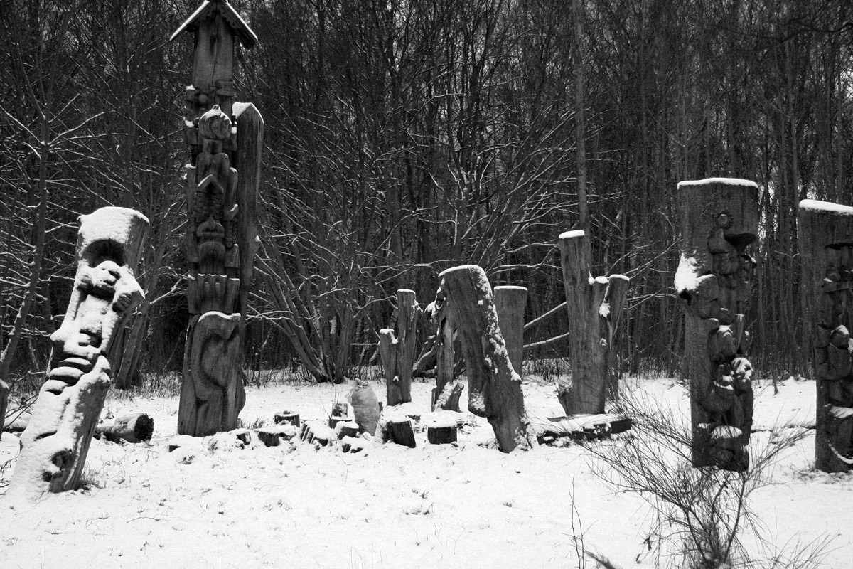 QQ/01/2009 Jan. is Never Over. Mike Baranovsky