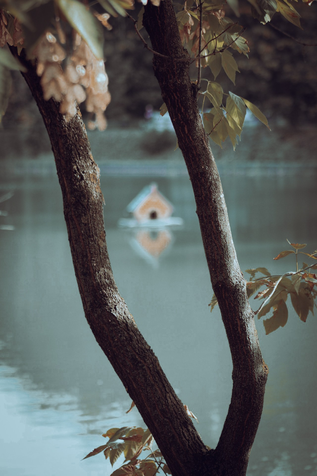 Цвета. Dmitriy [KCCC] is a pretty cool photographer