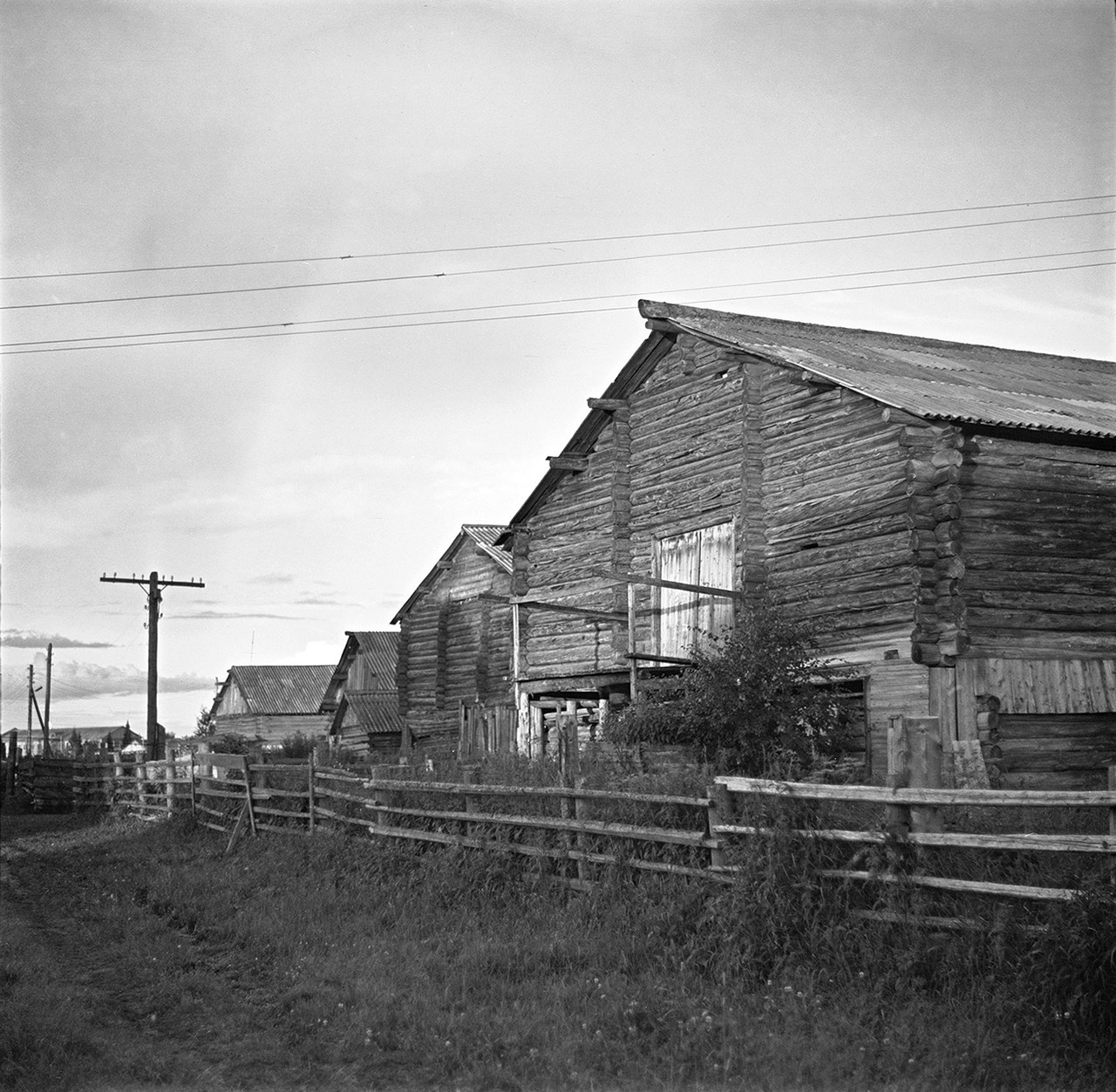 Было лето. Часть 1. ФОТОГРАФ ЛИЛИЯ БИЧУРИНА