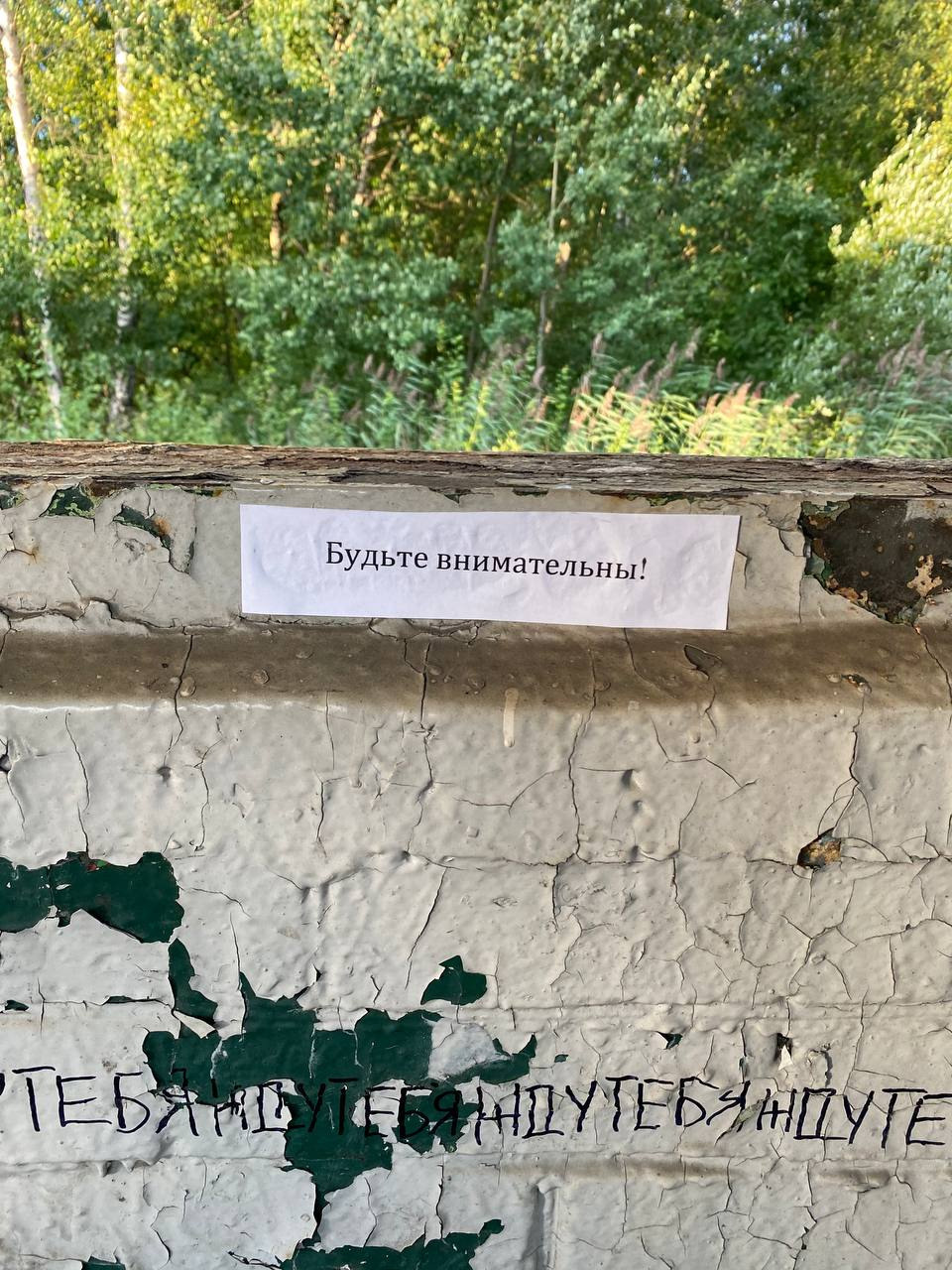 Ожидание. Екатерина Подлеснов