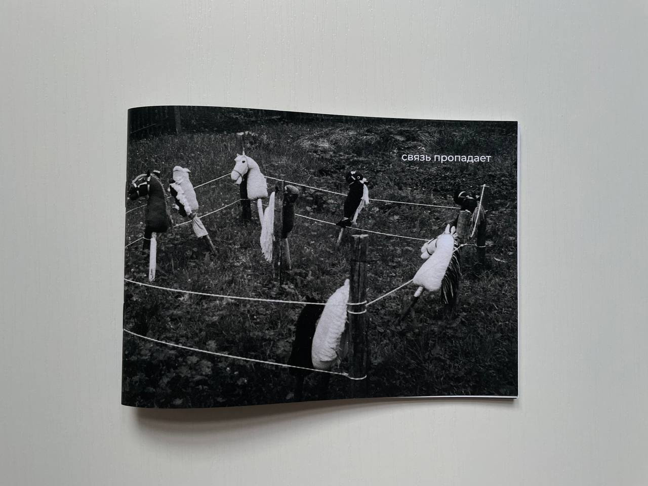 Связь пропадает. Екатерина Подлеснов