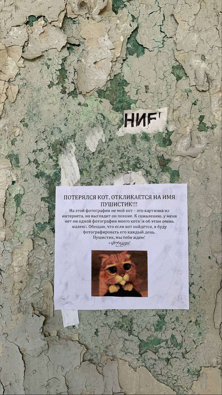 Ожидание. Екатерина Подлеснов