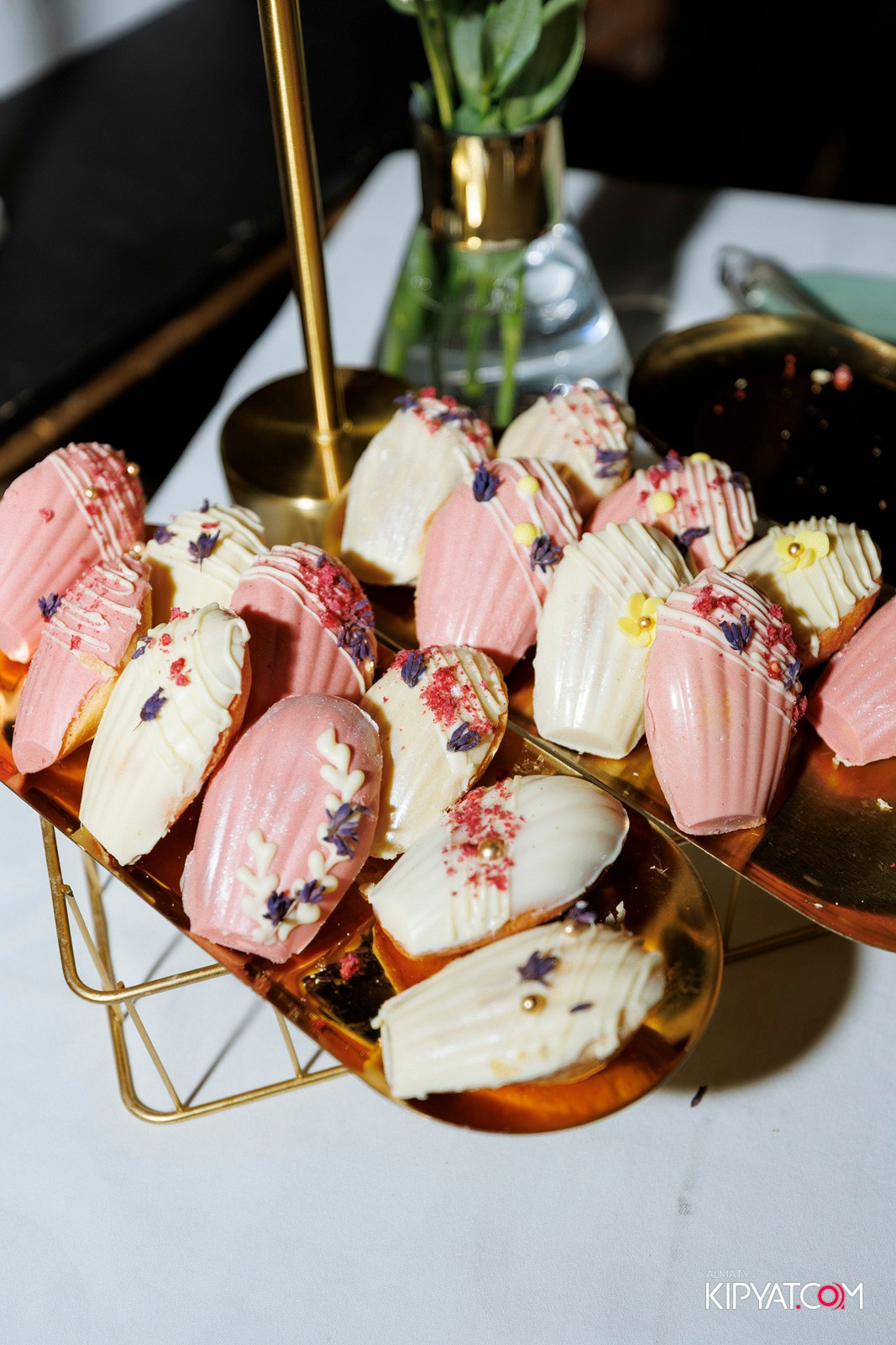 OLOVO BAR НА САТПАЕВА. КИПЯТКОМ АЛМАТЫ! Фотосъемка мероприятий в Алматы