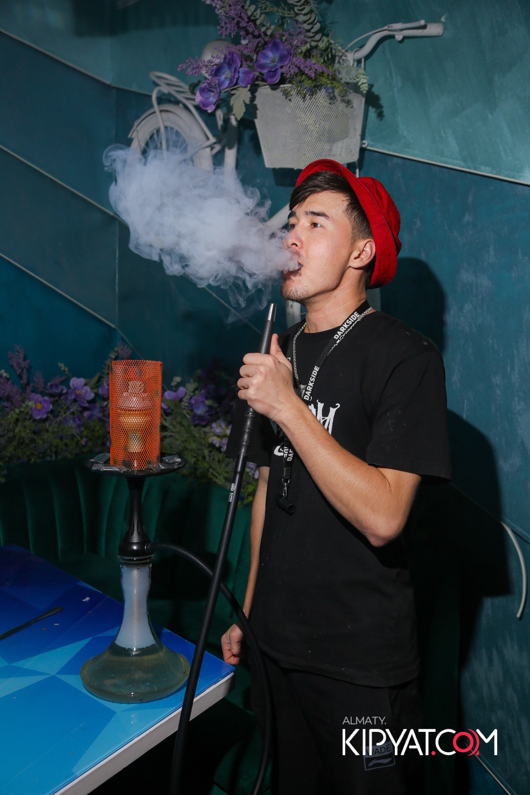 УХО И МЕДВЕДЬ НА САИНА. КИПЯТКОМ АЛМАТЫ!