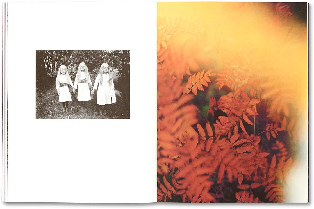 ИНТЕРВЬЮ С АВТОРАМИ: Maja Daniels. Самоорганизация Низина