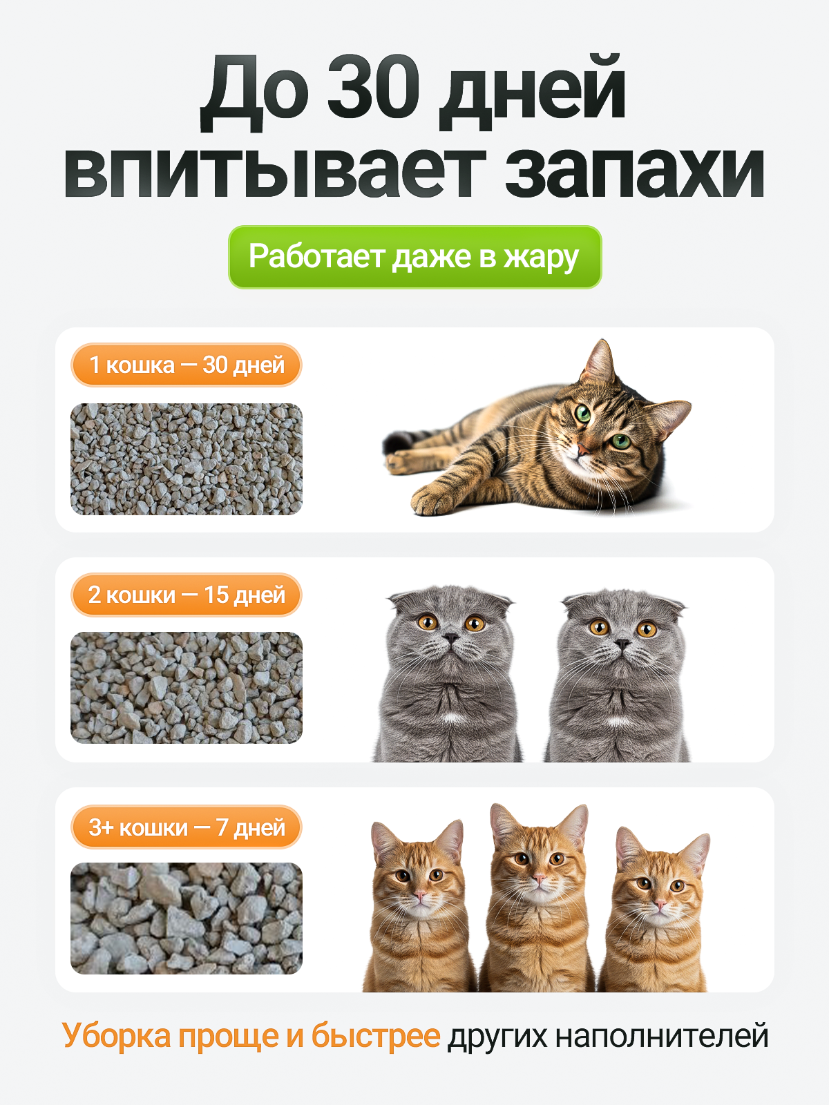 Наполнитель для лотка. Дизайн карточек для маркетплейсов