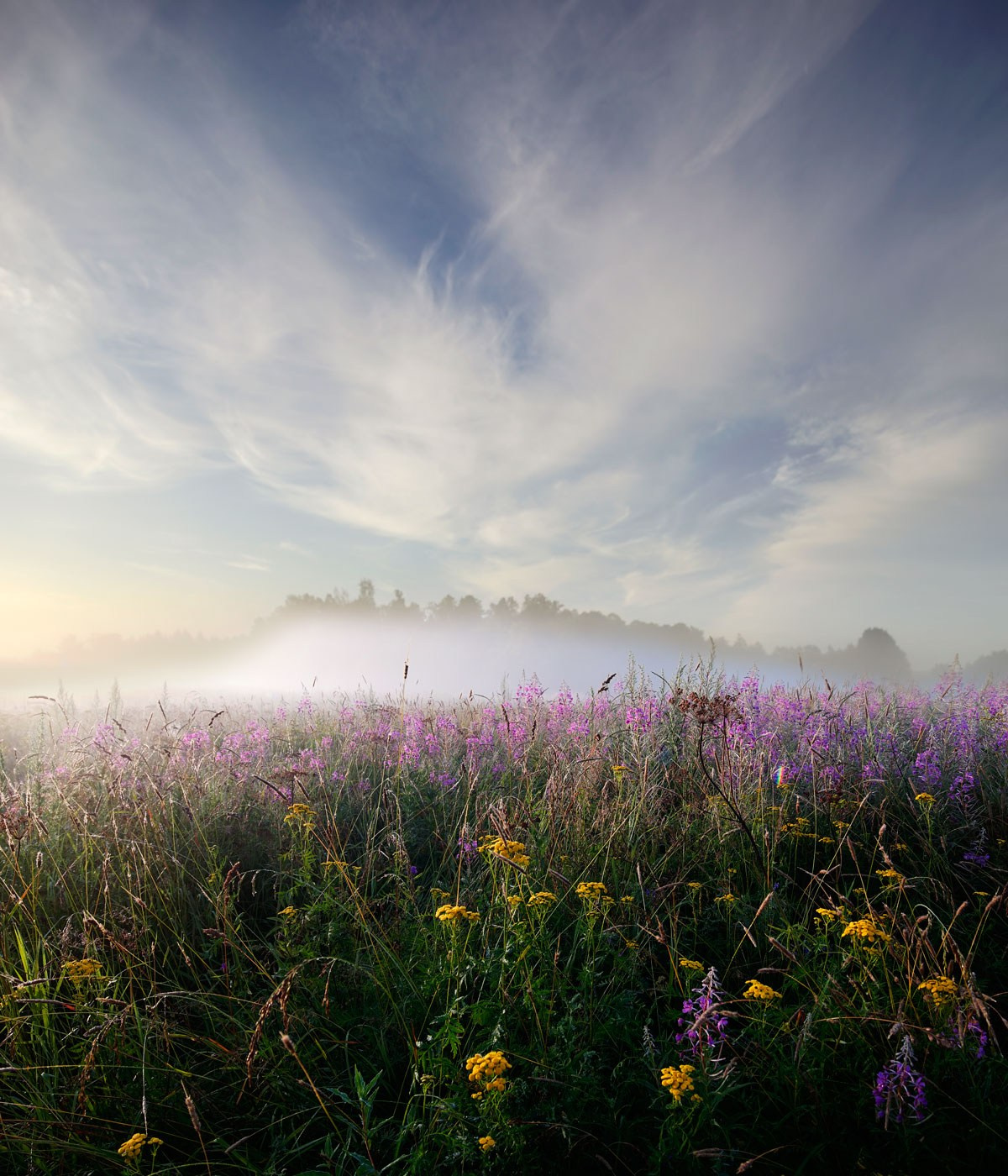 Landscape. Vasiliy Riabovol – Fine Art Photography | Zeit, Raum und Stille