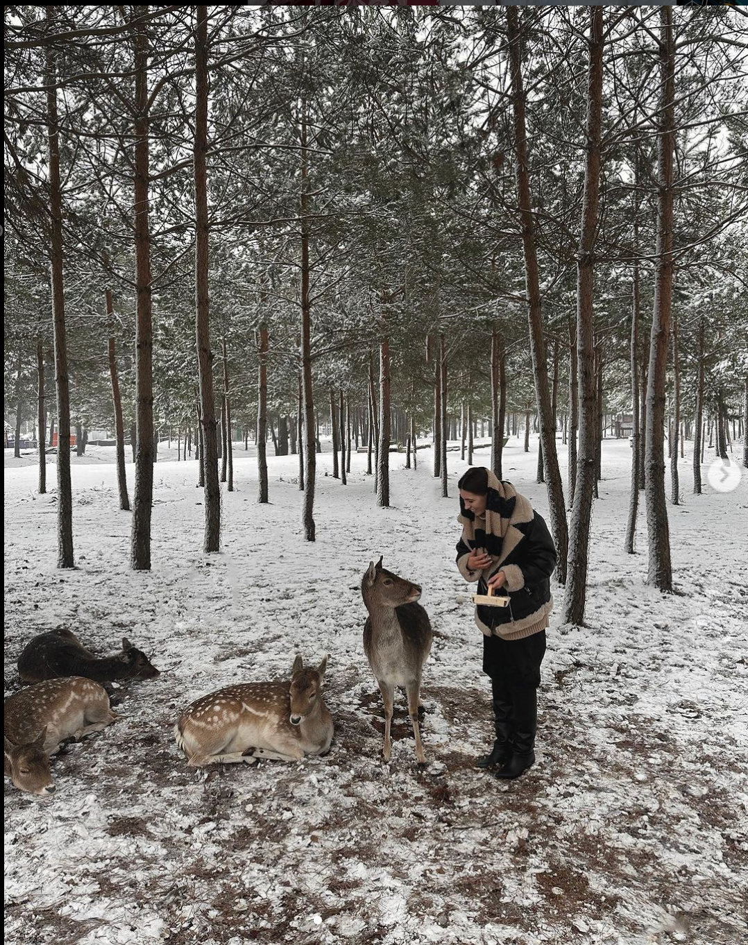 В зоопарке. Семейный и свадебный фотограф в Минске Юлия Грин